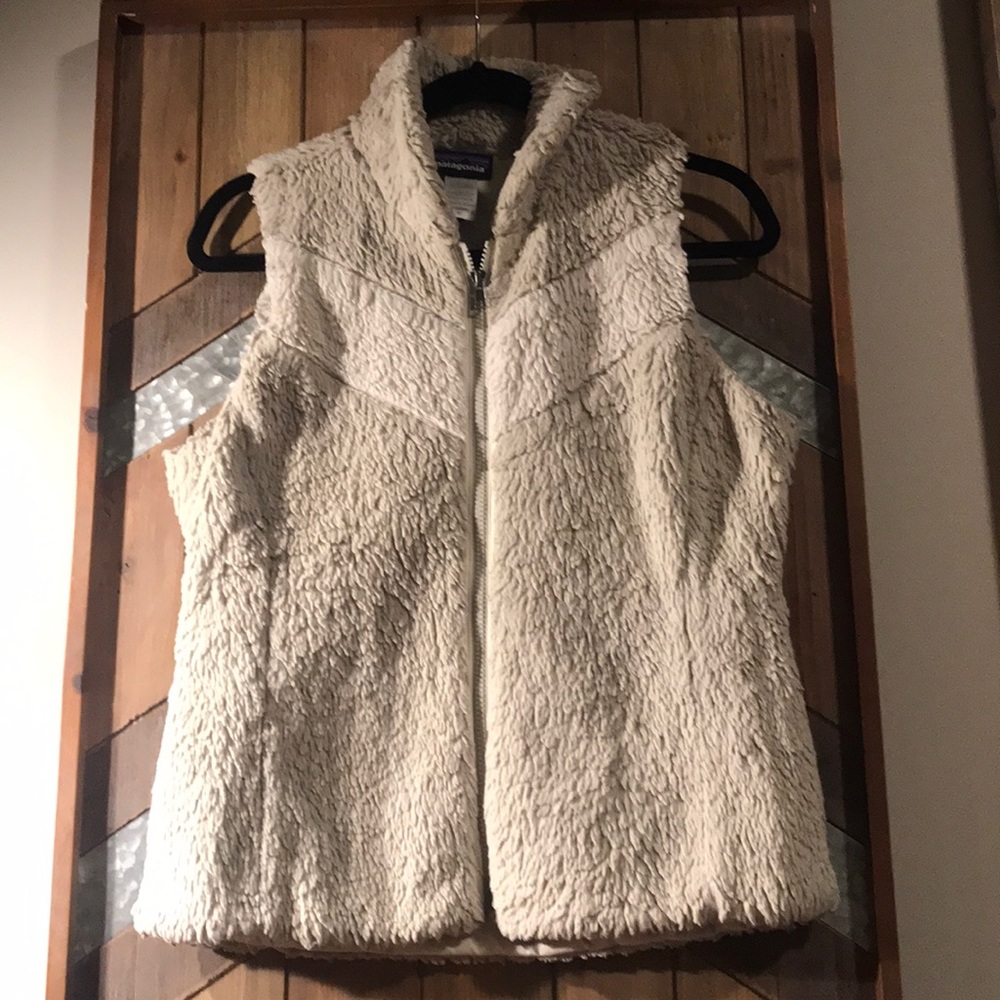 Patagonia vest.